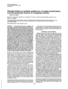 Phosphorylation of Synthetic Peptides by a Tyrosine Protein Kinase from the Particulate Fraction of a Lymphoma Cell Line (Phosphotyrosine/Pp6o C) JOHN E