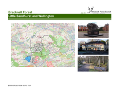 Little Sandhurst and Wellington Bracknell Forest