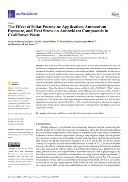 The Effect of Foliar Putrescine Application, Ammonium Exposure, and Heat Stress on Antioxidant Compounds in Cauliﬂower Waste