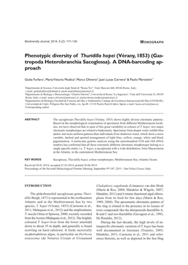 Phenotypic Diversity of Thuridilla Hopei (Vérany, 1853) (Gas- Tropoda Heterobranchia Sacoglossa)