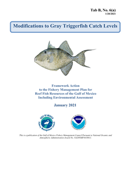 Modifications to Gray Triggerfish Catch Levels