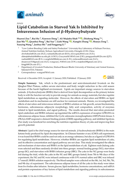 Lipid Catabolism in Starved Yak Is Inhibited by Intravenous Infusion of Β-Hydroxybutyrate