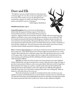 Deer and Elk “The Definitive Expression and Full Embodiment of the Plant People Are the Four Legged