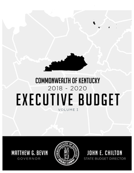2018-20 Executive Budget
