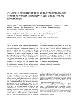 Monoamine Transporter Inhibitors and Norepinephrine Reduce Dopamine-Dependent Iron Toxicity in Cells Derived from the Substantia Nigra