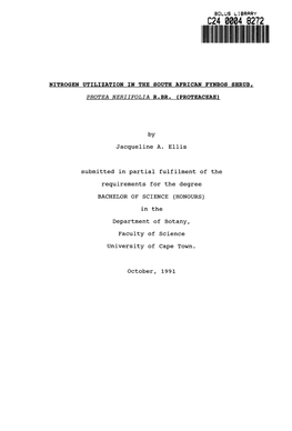 Nitrogen Utilization in the South African Fynbos Shrub, Protea