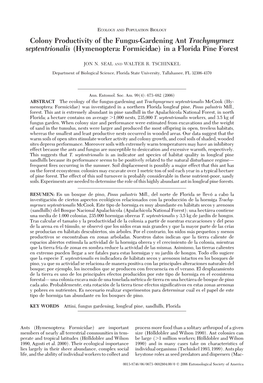 Colony Productivity of the Fungus-Gardening Ant Trachymyrmex Septentrionalis (Hymenoptera: Formicidae) in a Florida Pine Forest