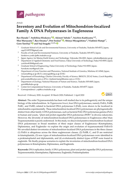 Inventory and Evolution of Mitochondrion-Localized Family a DNA Polymerases in Euglenozoa