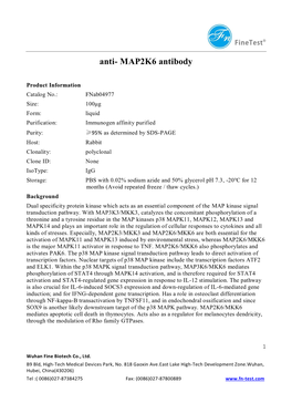 Anti- MAP2K6 Antibody