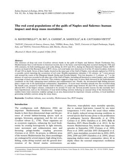 The Red Coral Populations of the Gulfs of Naples and Salerno: Human Impact and Deep Mass Mortalities