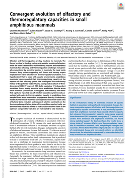 Convergent Evolution of Olfactory and Thermoregulatory Capacities in Small Amphibious Mammals