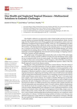 One Health and Neglected Tropical Diseases—Multisectoral Solutions to Endemic Challenges