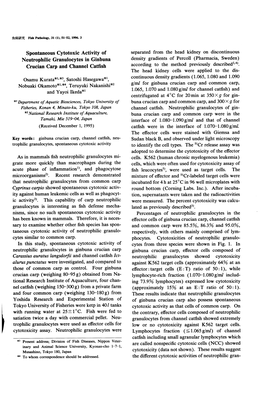 Spontaneous Cytotoxic Activity of Neutrophilic Granulocytes In