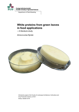 White Proteins from Green Leaves in Food Applications – a Literature Study