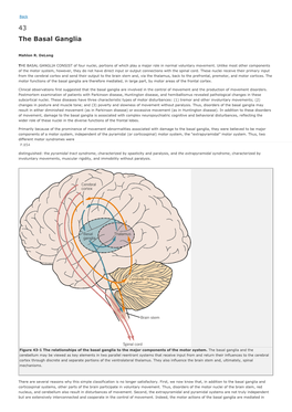 43 the Basal Ganglia