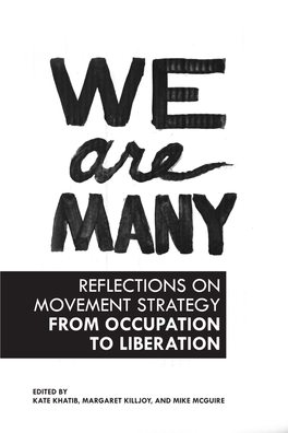 Reflections on Movement Strategy from Occupation to Liberation