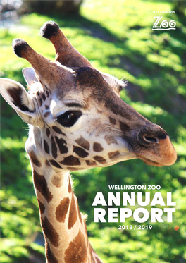 Annual Report 2018 / 2019