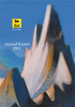Annual Report 2002 2002