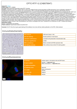 CPTC-RTF1-2 (CAB079947) Immunohistochemistry