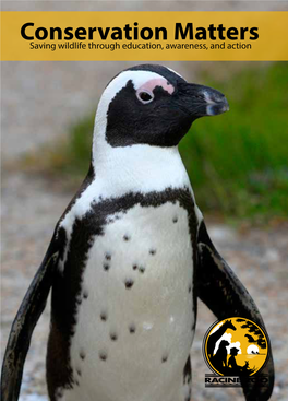 African Penguin: Conservation Matters