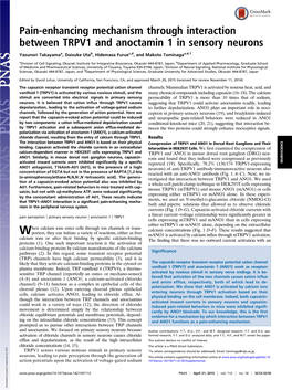 Pain-Enhancing Mechanism Through Interaction Between TRPV1 and Anoctamin 1 in Sensory Neurons