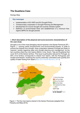 The Guadiana Case