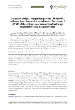 ﻿Detection of Signal Recognition Particle (SRP) Rnas in the Nuclear