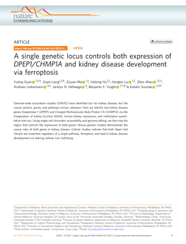 A Single Genetic Locus Controls Both Expression of DPEP1/CHMP1A and Kidney Disease Development Via Ferroptosis