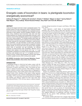 Energetic Costs of Locomotion in Bears: Is Plantigrade Locomotion Energetically Economical? Anthony M