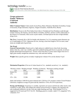 Carapa Guianensis Family: Meliaceae Crabwood Andiroba