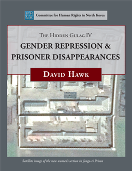 David Hawk, the Hidden Gulag IV