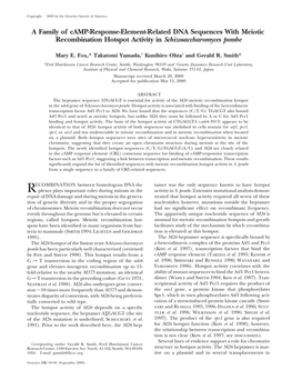 A Family of Camp-Response-Element-Related DNA Sequences with Meiotic Recombination Hotspot Activity in Schizosaccharomyces Pombe