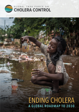 Ending Cholera—A Global Roadmap to 2030: Vision, Target and Strategic Axes