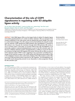 Characterization of the Role of COP9 Signalosome in Regulating Cullin E3 Ubiquitin Ligase Activity