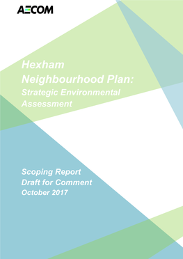 Strategic Environmental Assessment Hexham Scoping Report Draft For