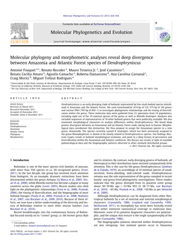 Molecular Phylogeny and Morphometric Analyses Reveal Deep