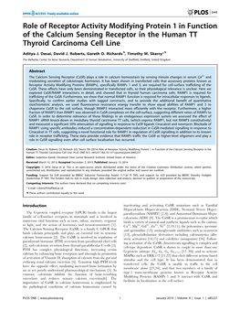 Role of Receptor Activity Modifying Protein 1 in Function of the Calcium Sensing Receptor in the Human TT Thyroid Carcinoma Cell Line