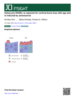 Osteocyte RANKL Is Required for Cortical Bone Loss with Age and Is Induced by Senescence