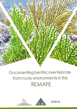 Documenting Benthic Invertebrate from Rocky Environments in the REMAPE