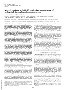 A Novel Amplicon at 8P22–23 Results in Overexpression of Cathepsin B in Esophageal Adenocarcinoma (Oncogene͞barrett’S Esophagus͞neoplasm)