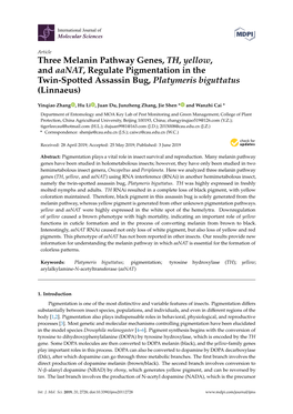 Three Melanin Pathway Genes, TH, Yellow, and Aanat, Regulate Pigmentation in the Twin-Spotted Assassin Bug, Platymeris Biguttatus (Linnaeus)