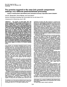 Two Proteins Targeted to the Same Lytic Granule Compartment Undergo Very Different Posttranslational Processing