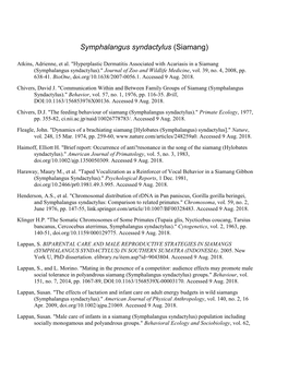 Symphalangus Syndactylus (Siamang)