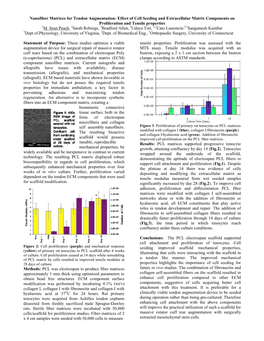 2010: Nanofiber Matrices for Tendon Augmentation: Effect of Cell