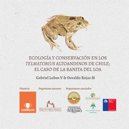 ECOLOGÍA Y CONSERVACIÓN EN LOS TELMATOBIUS ALTOANDINOS DE CHILE; EL CASO DE LA RANITA DEL LOA Gabriel Lobos V & Osvaldo Rojas M