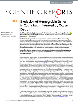 Evolution of Hemoglobin Genes in Codfishes