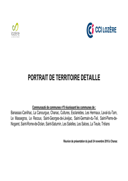 Portrait De Territoire Detaille