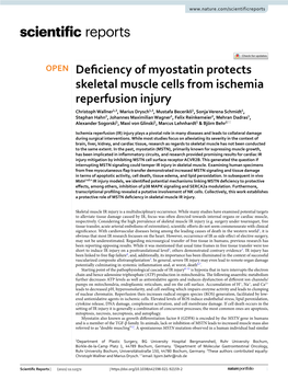 Deficiency of Myostatin Protects Skeletal Muscle Cells from Ischemia