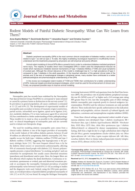 Rodent Models of Painful Diabetic Neuropathy: What Can We Learn