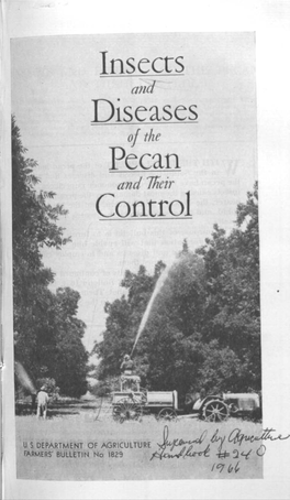 Insects Diseases Pecan